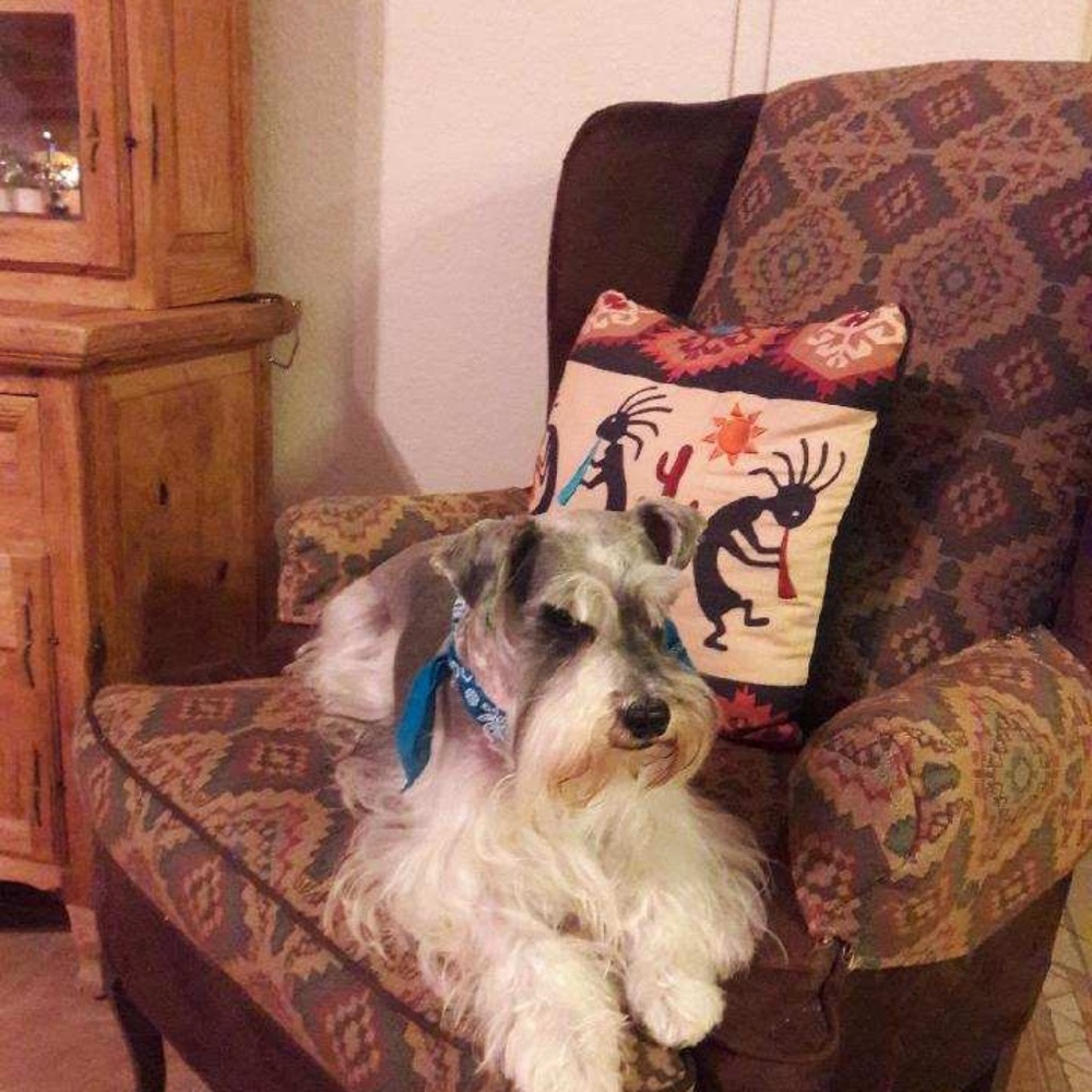 Meet your Posher, Deborah